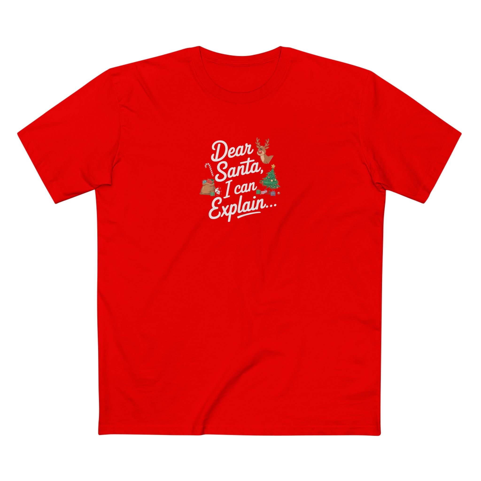 Dear Santa I Can Explain...