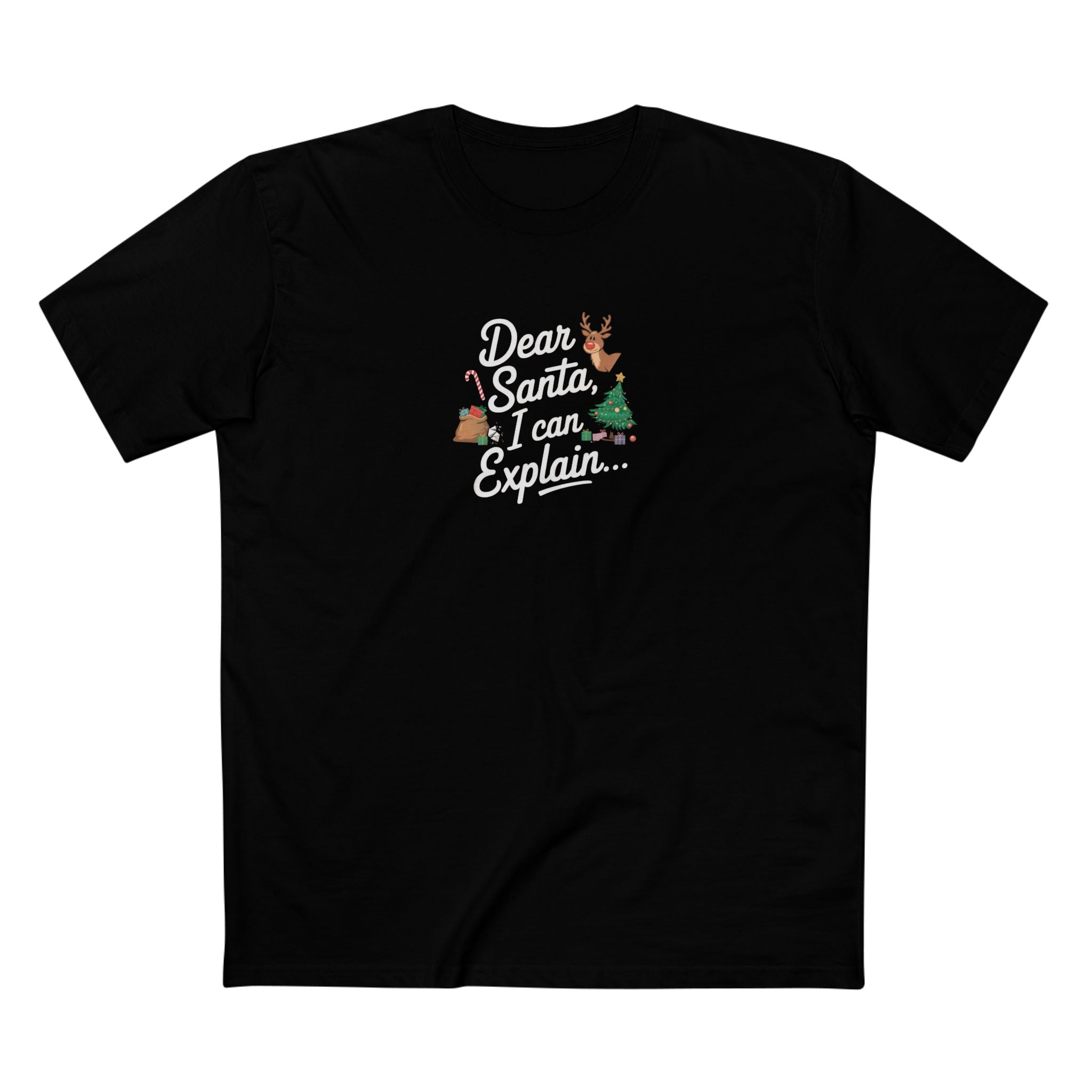 Dear Santa I Can Explain...