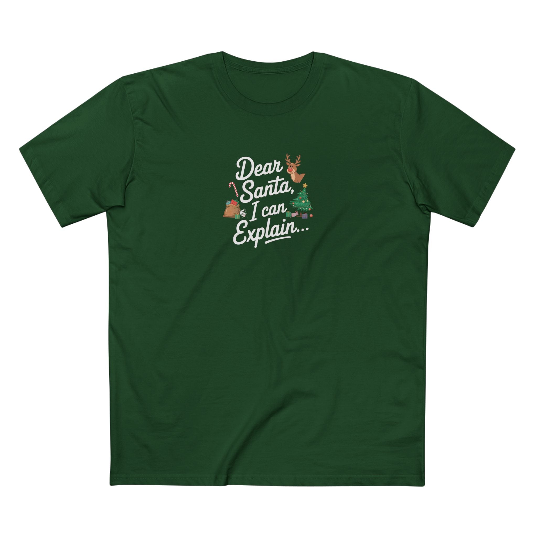 Dear Santa I Can Explain...